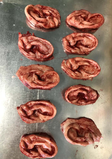 Realistische blutige silikon horror ohren prosthetik als abgetrenntes ohr auf metalloberfläche, absolut wasserdicht