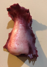 SEVERED NOSE WITH MAGNET - FX