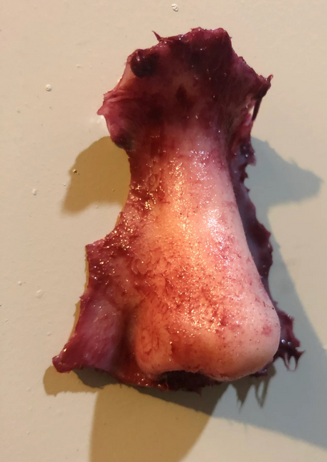 SEVERED NOSE WITH MAGNET - FX