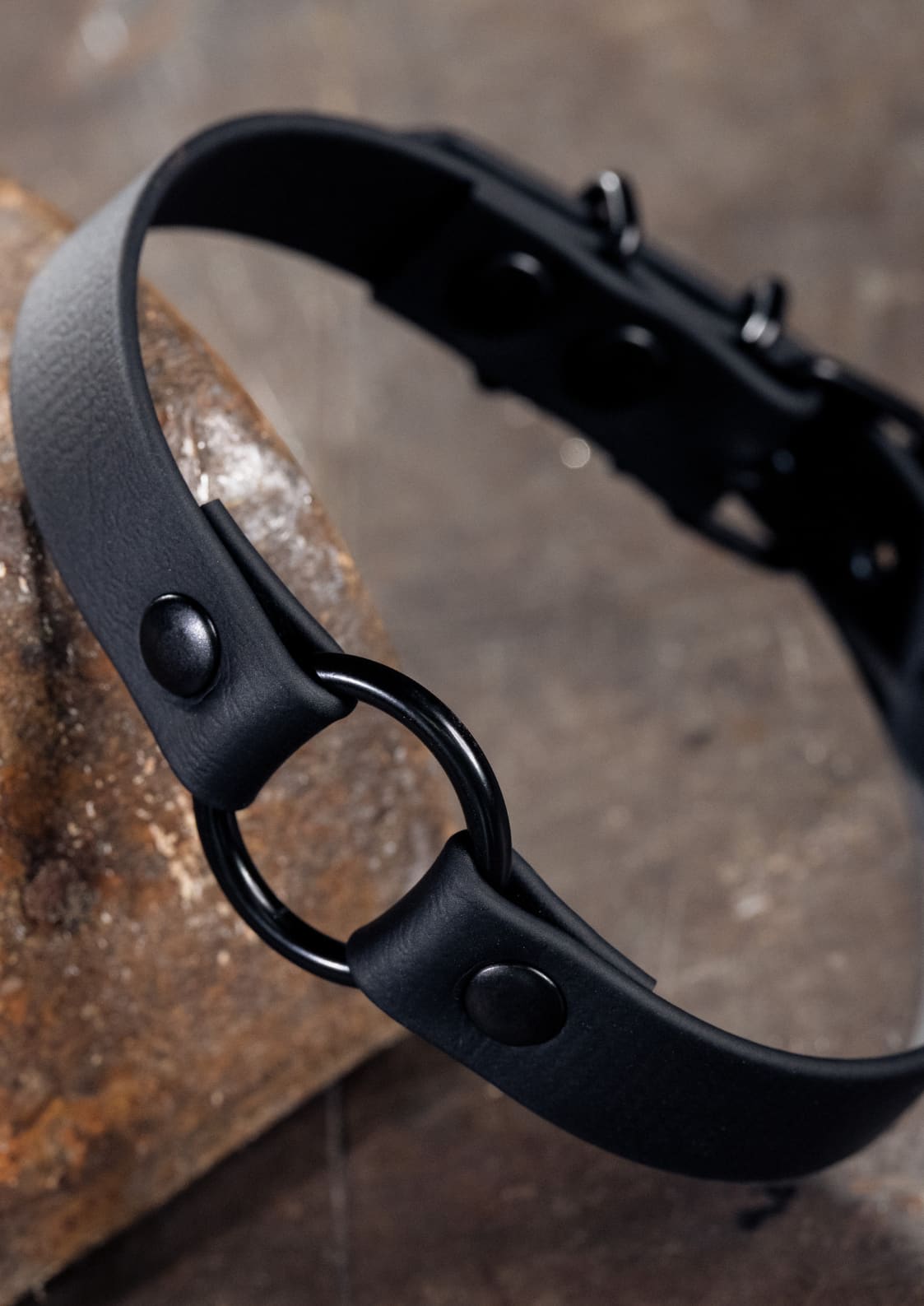 Schwarzes Lederhalsband mit Metallring.