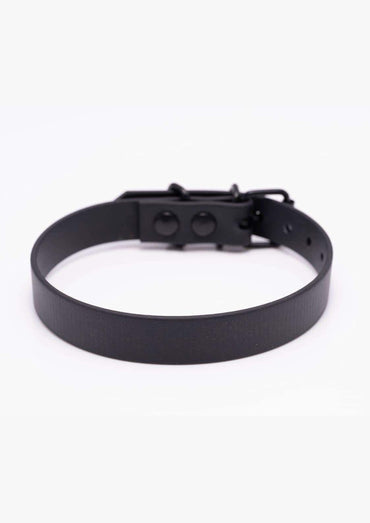 Detailaufnahme des schwarzen Easure plain Chokers aus BioThane mit schwarzer Schnalle
