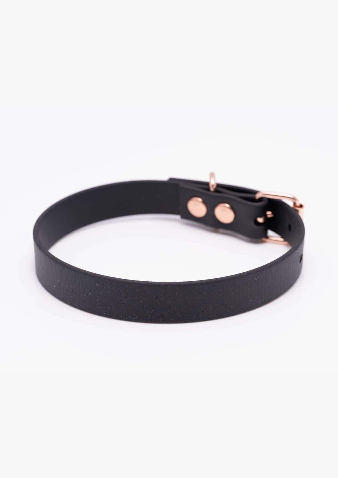 Detailaufnahme des schwarzen Easure plain Chokers aus BioThane mit rosegoldfarbener Schnalle