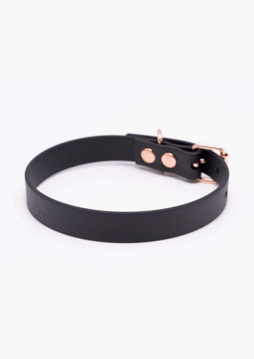 Detailaufnahme des schwarzen Easure plain Chokers aus BioThane mit rosegoldfarbener Schnalle