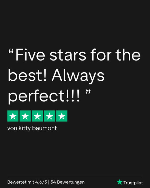 Schwarzer Chat-Kasten mit weißem Text und grüner Sternbewertung.