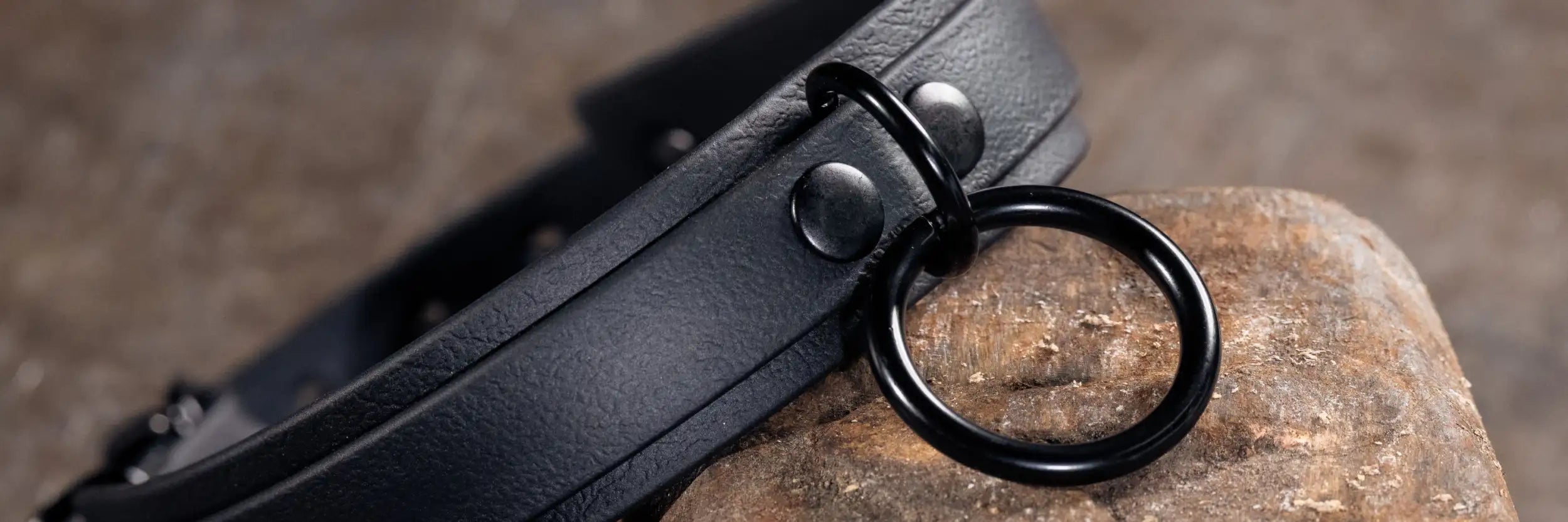 Schwarzes Lederhalsband mit einem mattschwarzen Metallring und passenden Nieten.