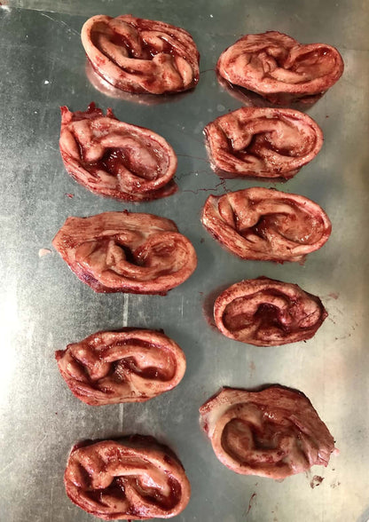 Realistisches abgetrenntes Ohr aus blutigem Silikon, absolut wasserdicht