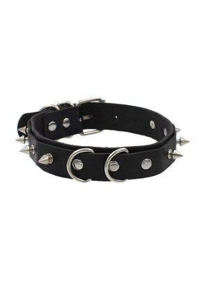 Schwarzes, stachelbesetztes Lederhalsband mit silberner Beschlägen und Doppelfring.