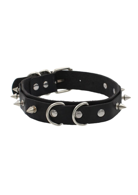 Schwarzes, stachelbesetztes Lederhalsband mit silberner Beschlägen und Doppelfring.